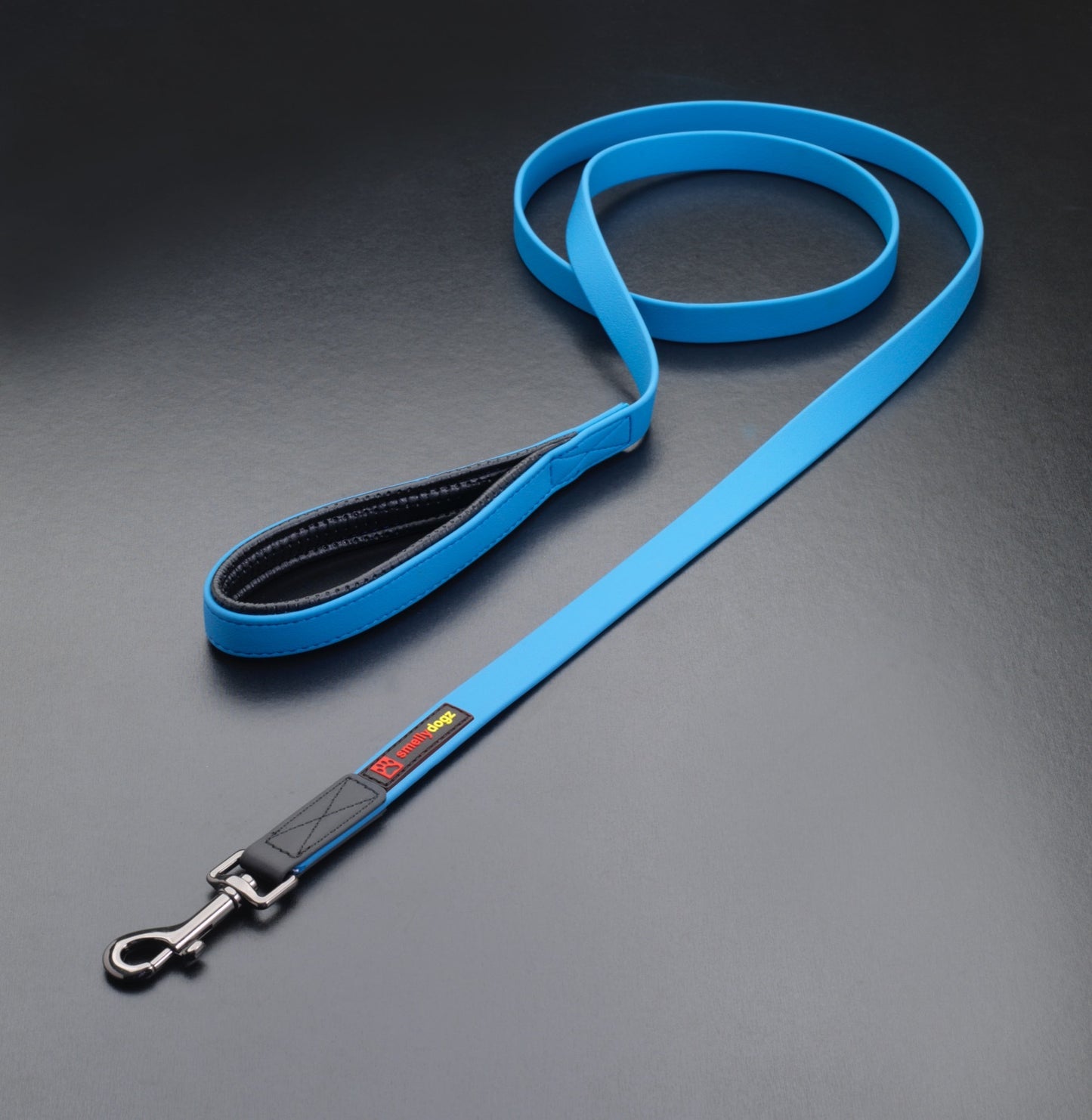 Smellydogz Lead 5/8" Blue