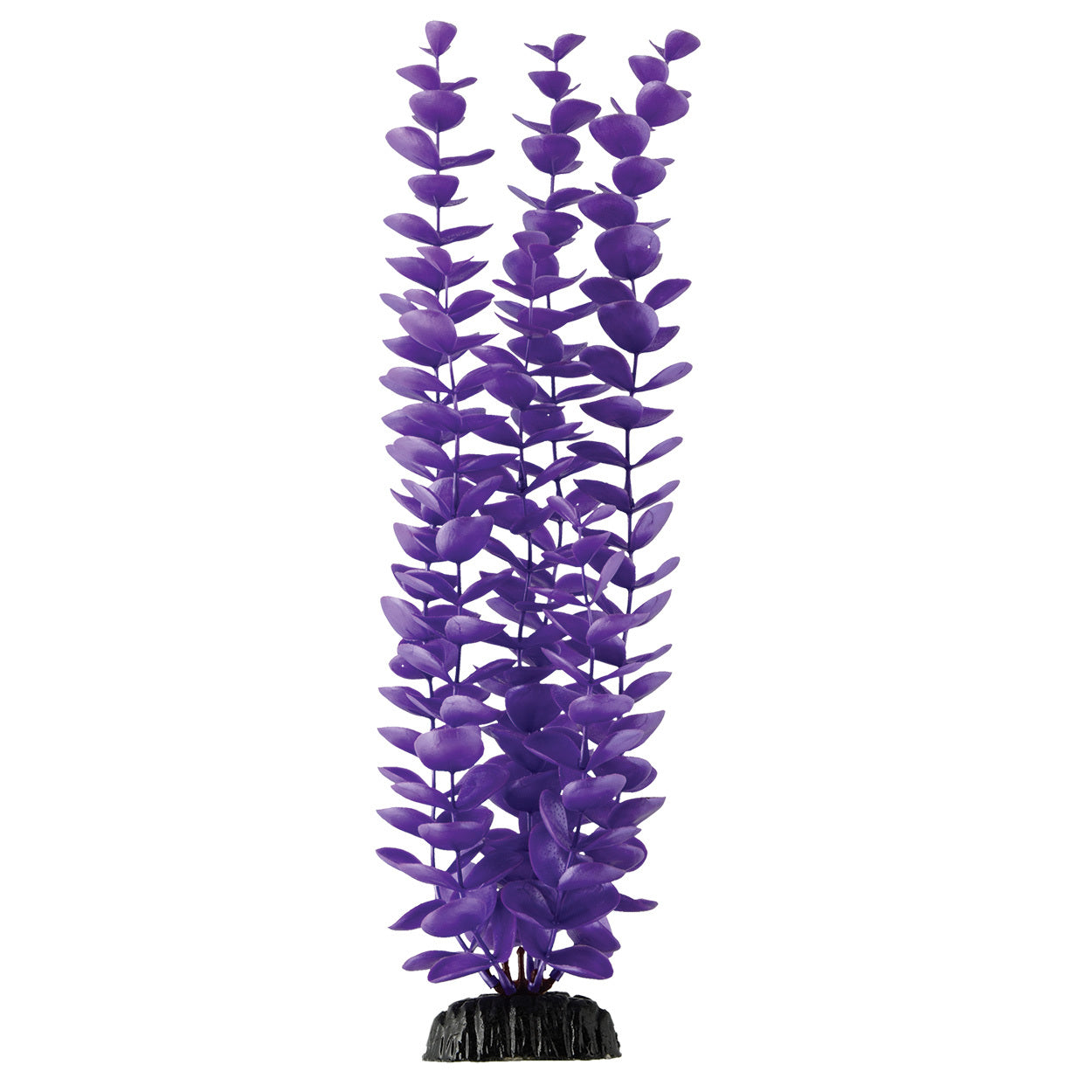 Underwater Treasures 16" - Magenta Bacopa
