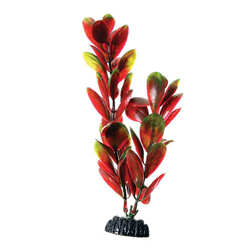 Underwater Treasures 8" - Red/Green Bacopa