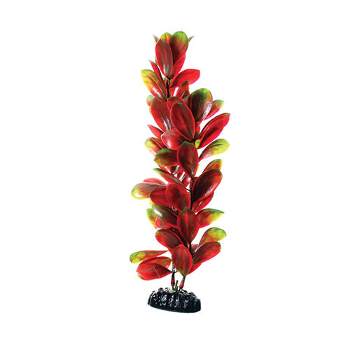 Underwater Treasures 12" - Red/Green Bacopa