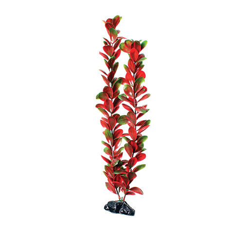 Underwater Treasures 20" - Red/Green Bacopa