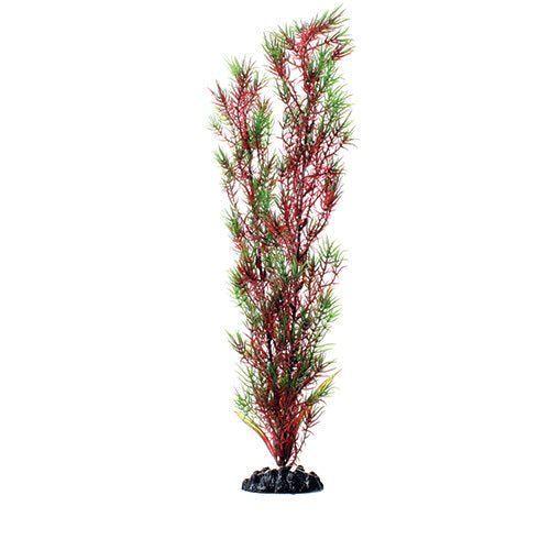 Underwater Treasures 16" - Red/Green Springeri
