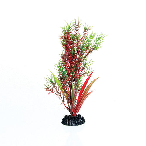 Underwater Treasures 8" - Red/Green Springeri