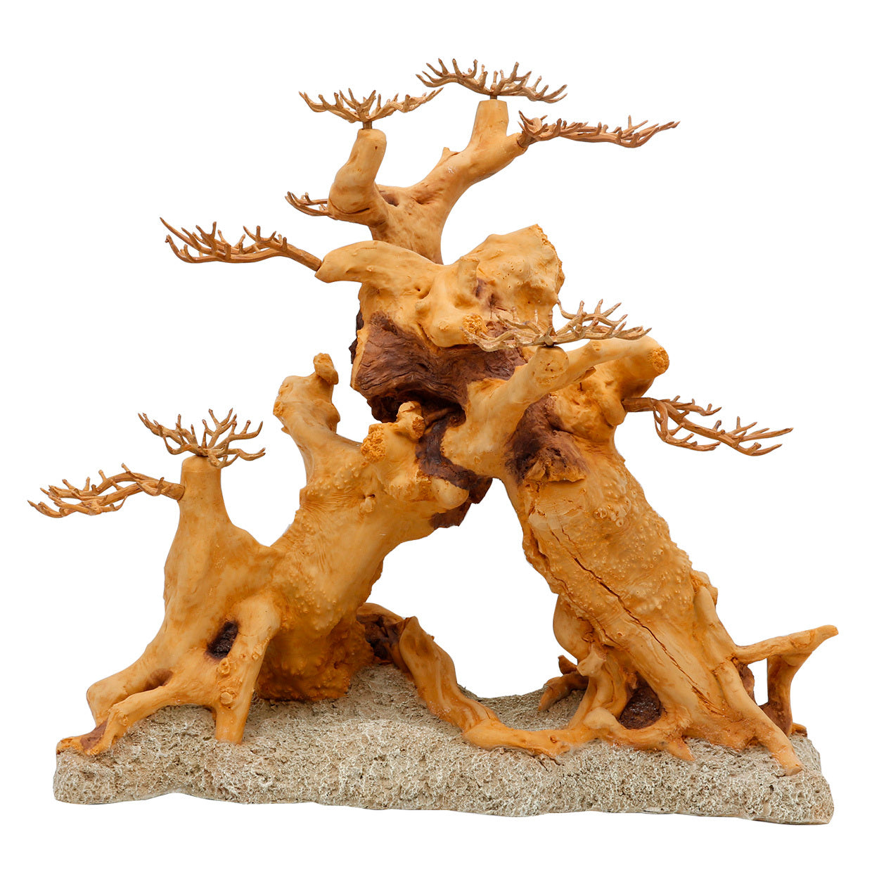 Underwater Treasures Sunken Tree Hideout