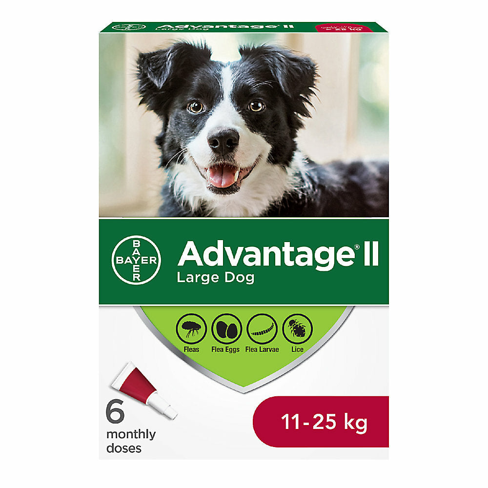 Advantage II For Dogs 11kg-25kg - 6 Dose