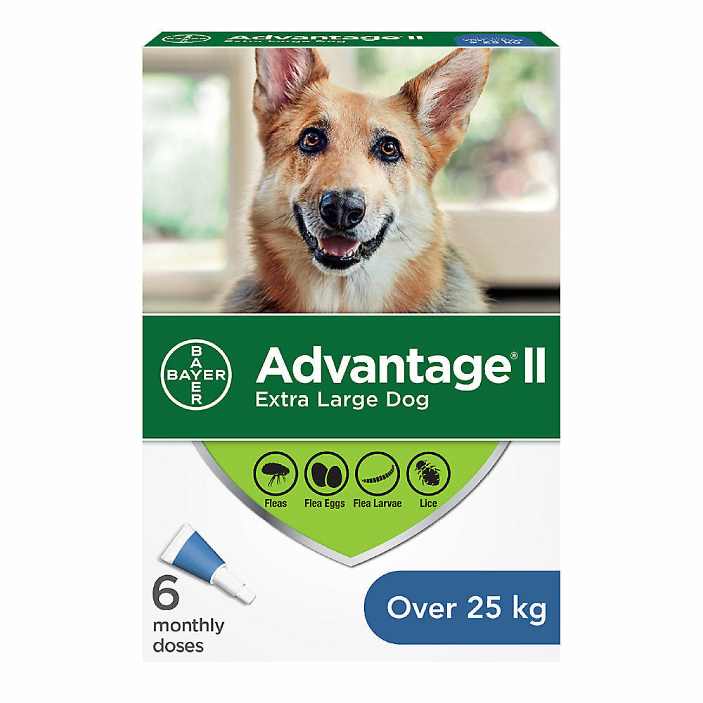 Advantage II For Dogs Over 25kg - 6 Dose