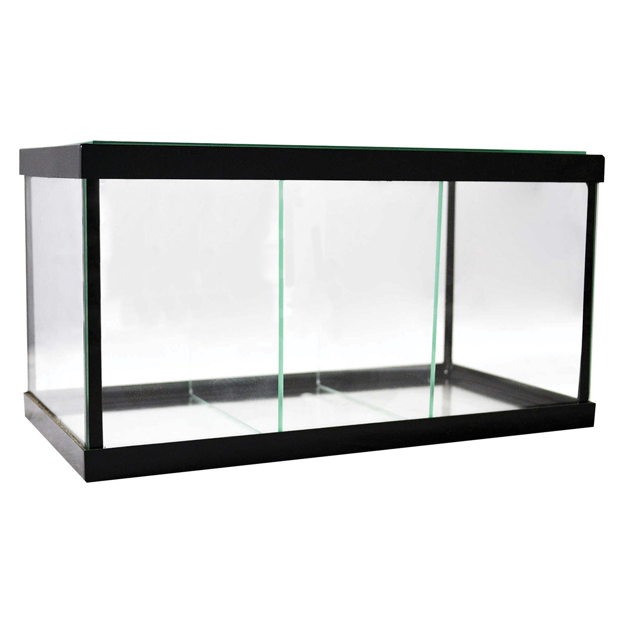 Seapora 1.5 Gallon Betta Tank with 2 Dividers