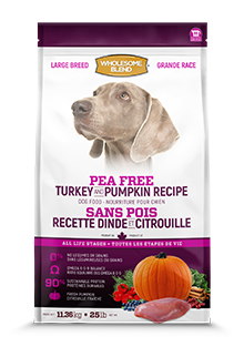 Wholesome Blend Pea Free Large Breed Turkey & Pumpkin 11.4kg