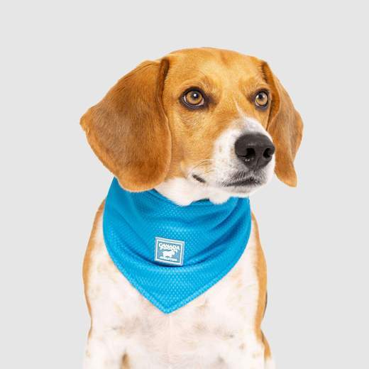 Canada Pooch Cooling Bandana - Small