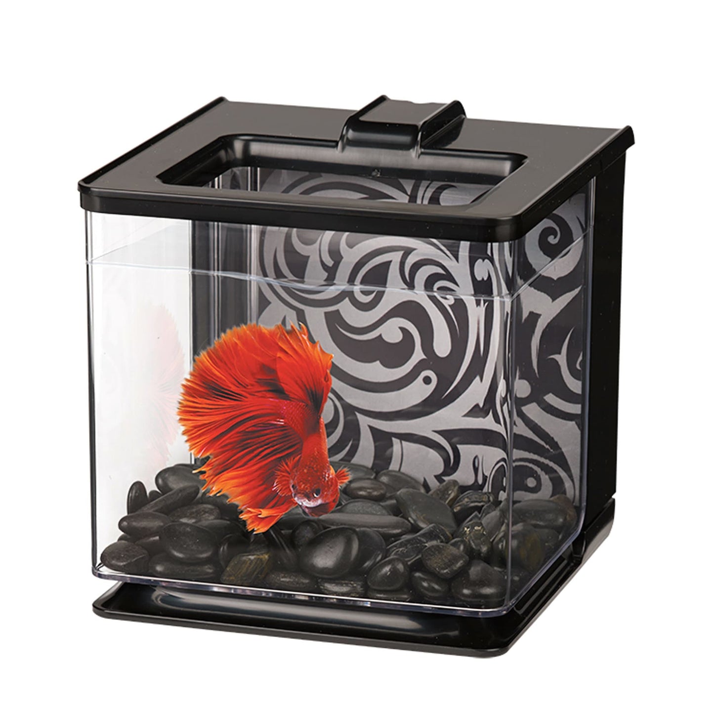 Marina EZ Care Betta Kit - Black