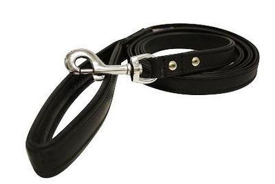 Angel Alpine 1/2" Black Lead 4 Feet