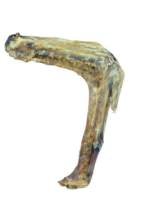 Amelia Biscuit Company - Duck Wing