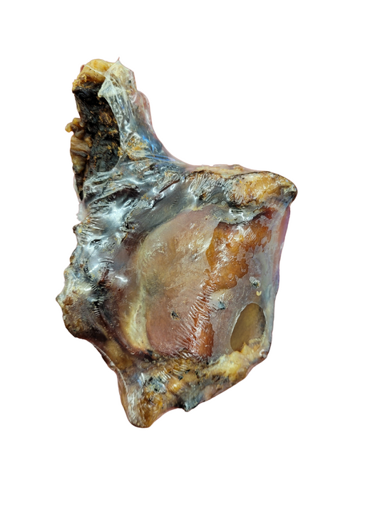 Amelia Biscuit Company - Beef Tartar Bone