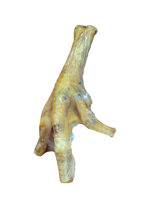 Amelia Biscuit Company - Giant Chicken Feet