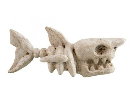 Underwater Treasures Shark Bones