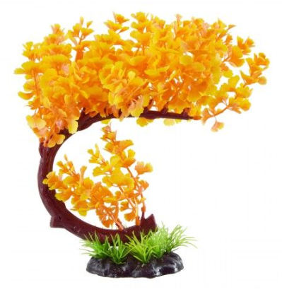 Underwater Treasure Bacopa Bonsai Orange