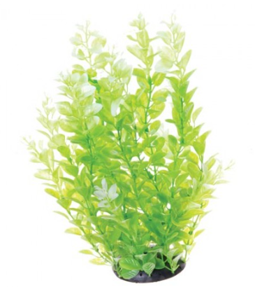 Underwater Treasures White Tipped Cardamine 12"