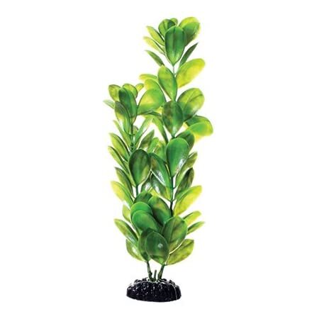 Underwater Treasures Plant Bacopa 10"