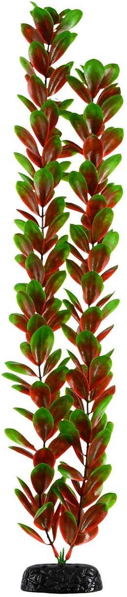 Underwater Treasure Bacopa Bonsai Green/Red