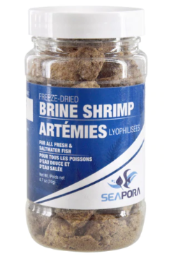 Seapora Freeze Dried Brine Shrimp 20g
