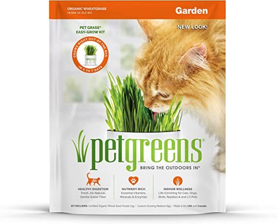 Bellrock Pet Greens Self Grow Kit
