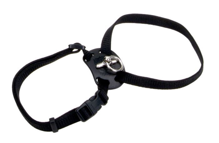 Coastal Size Right Harness Black