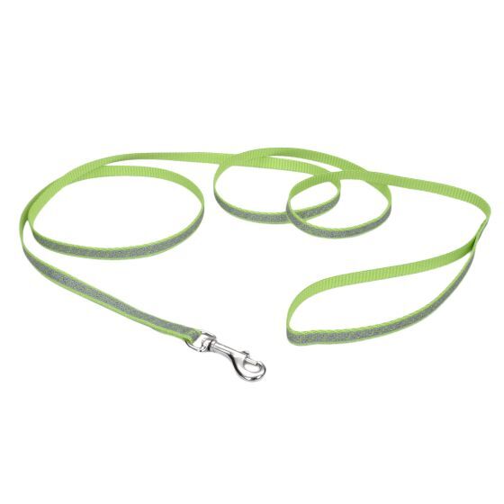 Lazer Brite 3/8" 6Ft Lead Lime Green