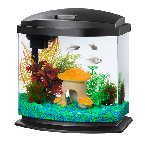 Aqueon LED MiniBow 2.5 - Black - 2.5 gal