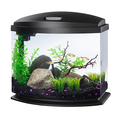 Aqueon MiniBow LED Kit 5 Gallon Black