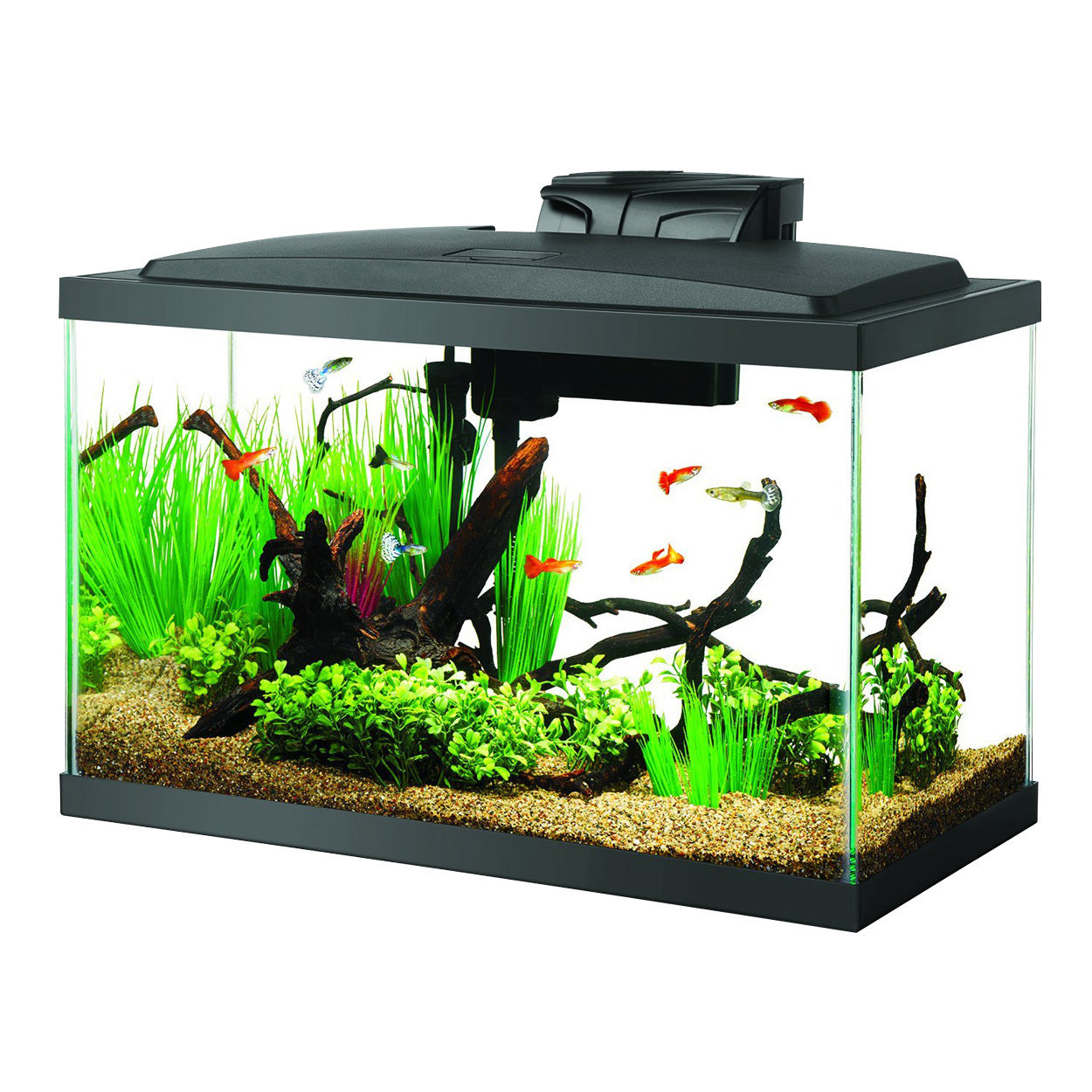 AQUEON 10 GALLON LED AQUARIUM KIT