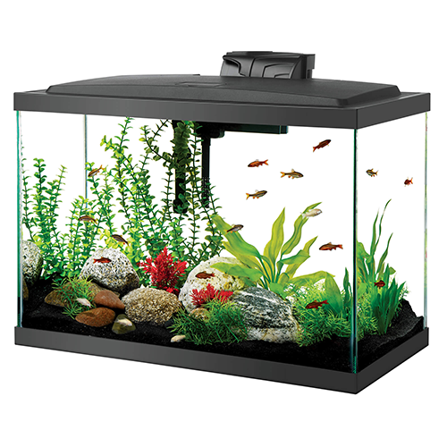 AQUEON 20 GALLON LED AQUARIUM KIT