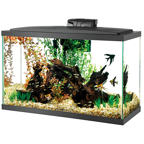 AQUEON 29 GALLON LED AQUARIUM KIT