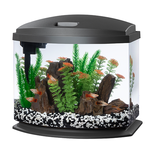 Aqueon LED MiniBow 5 - Grey - 5 gal