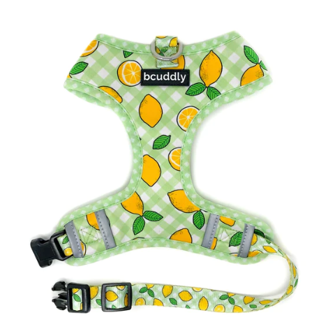BCuddly Control Harness - Lemons Small