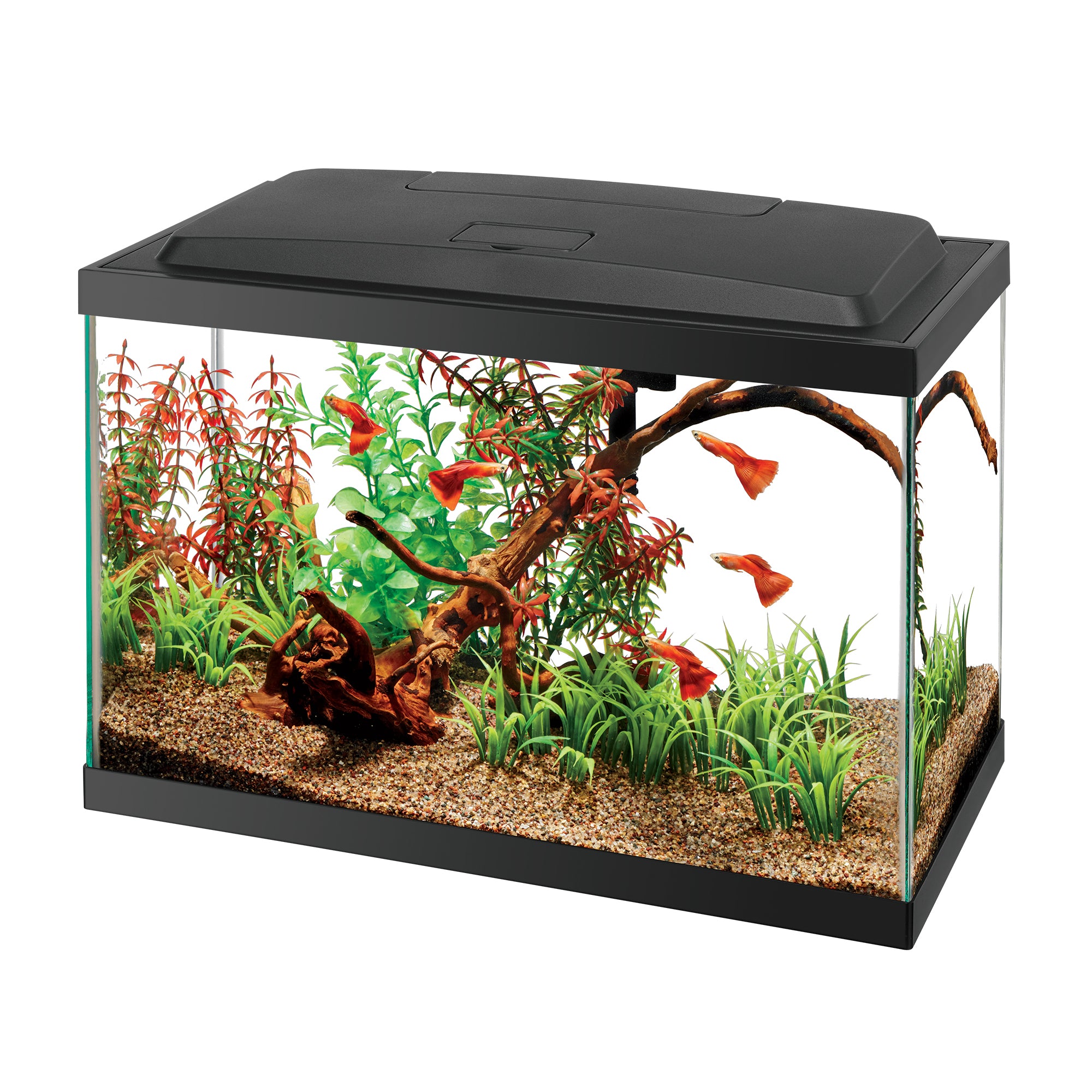 Aquarium Kit Tank Stand 55 Gallon Fish Tank Petsmart Aqueon LED