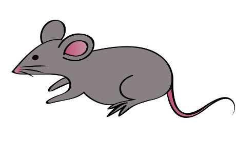 FROZEN PINKY MOUSE