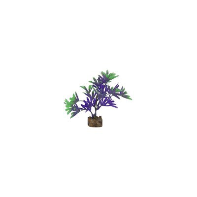 GLO FISH PLANT - SMALL PURPLE & GREEN