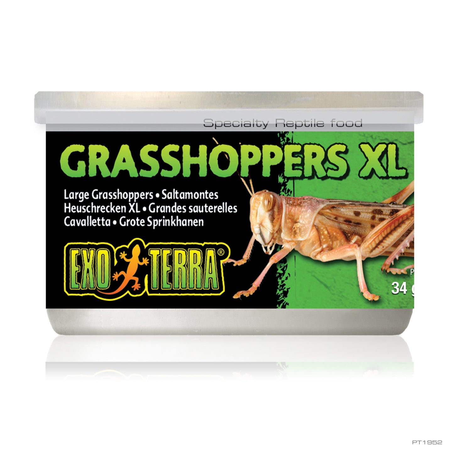EXO TERRA CANNED GRASSHOPPERS XL 34g