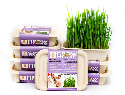 Lucky Kitty Pet Grass for Small Animals