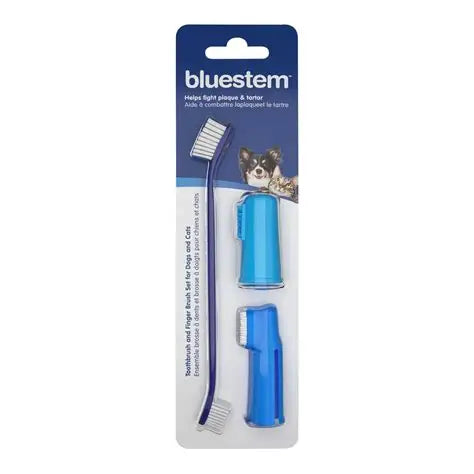 bluestem Toothbrush Kit
