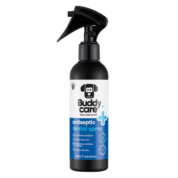 Buddycare Antiseptic Dental Spray 200 ml