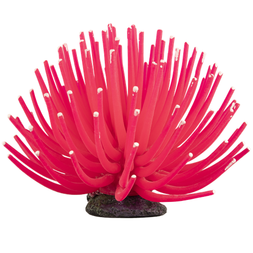 GLO FISH ANEMONE PINK LARGE
