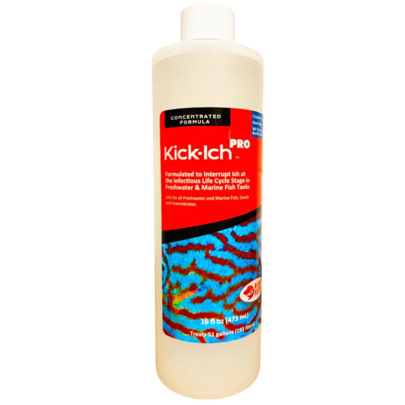 KICK-ICH PRO 16 OZ