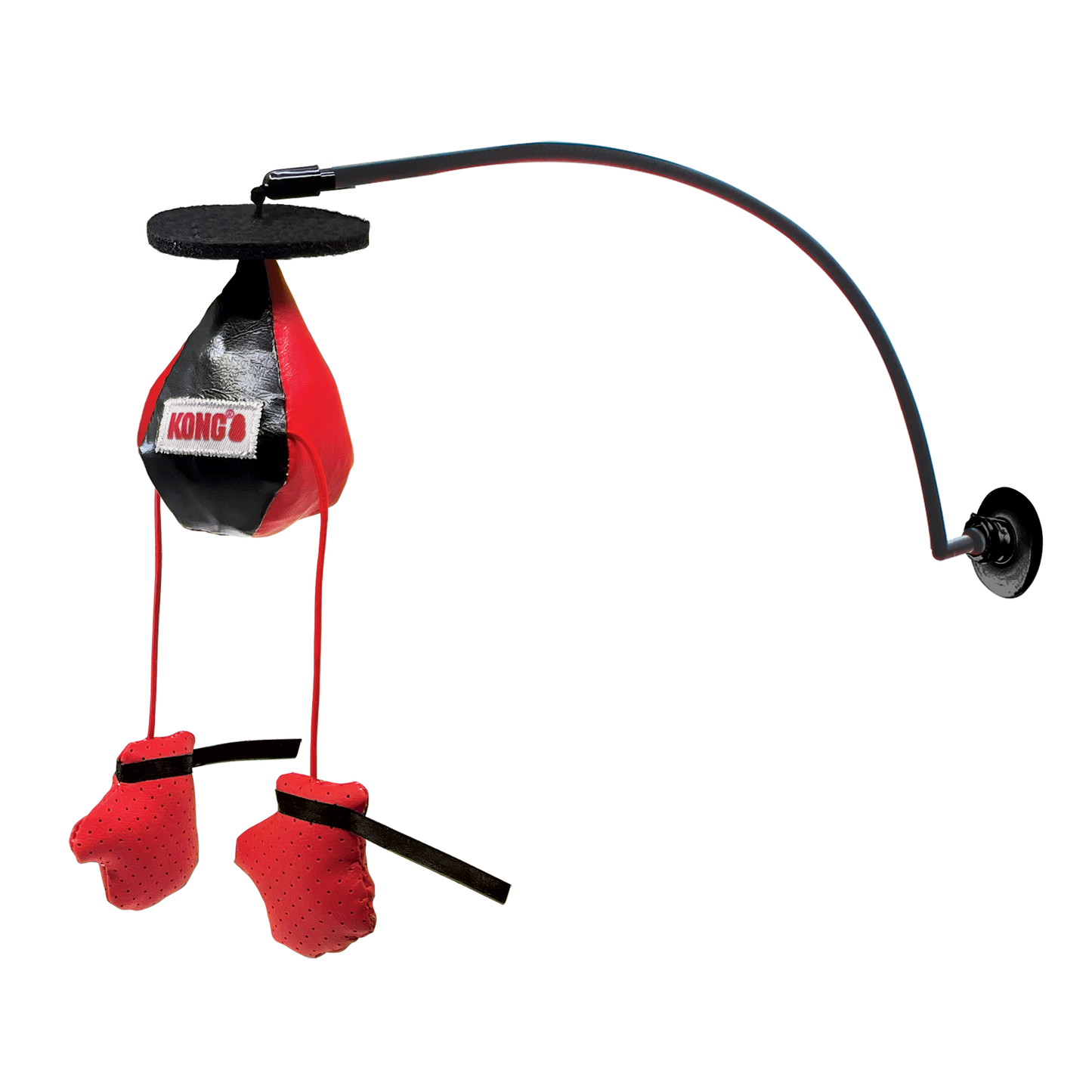 Kong Cat - Window Boxer