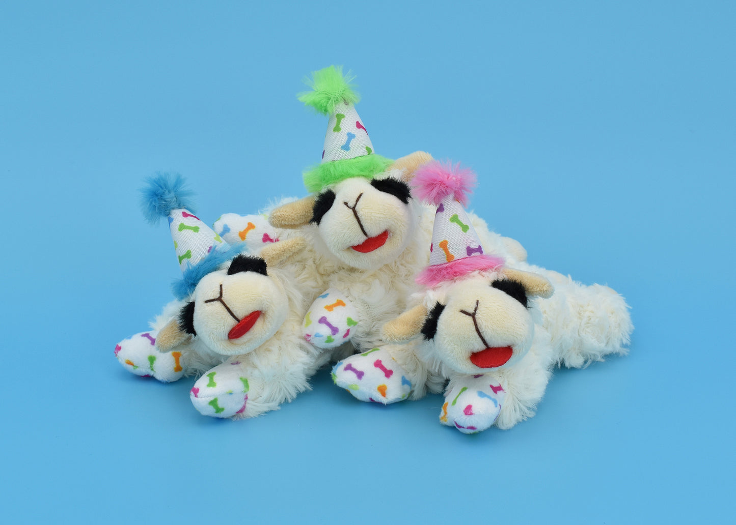 Lamb Chop 6" With Birthday Hat