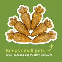 Living World Carrot Chew Toy