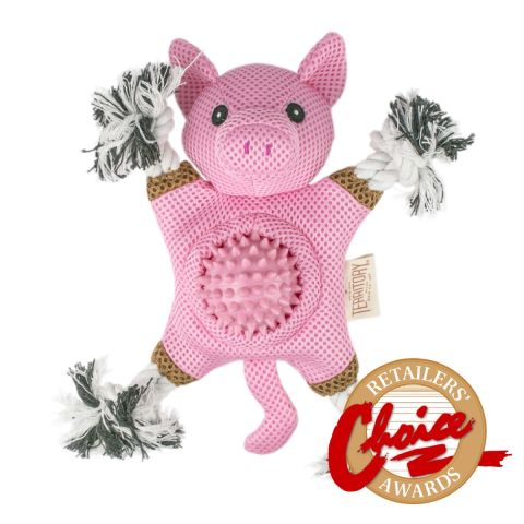 Original Territory 2-in-1 Farm Friend - Pig