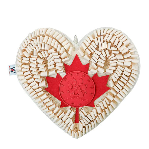 PawzNDogz Boundless Love Snuffle Mat