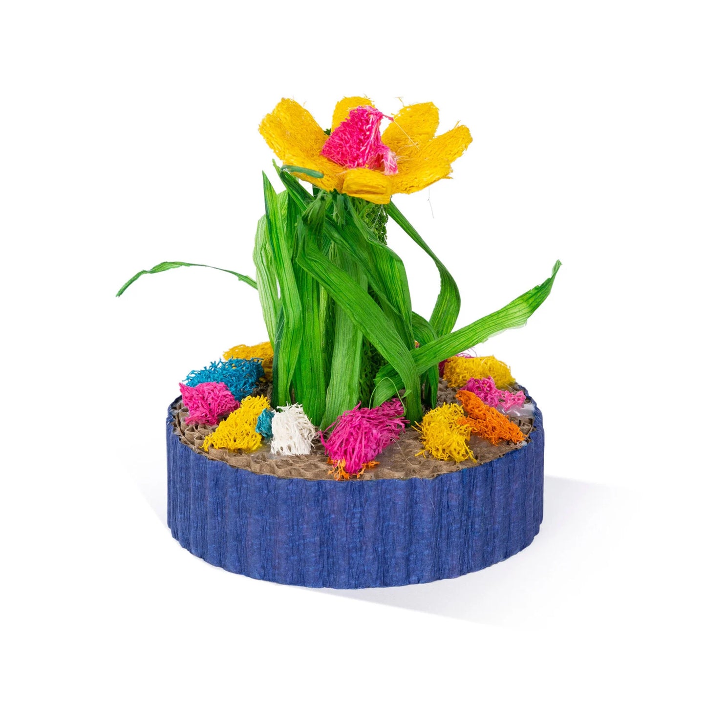 Prevue Hendryx Succulent Minigarden