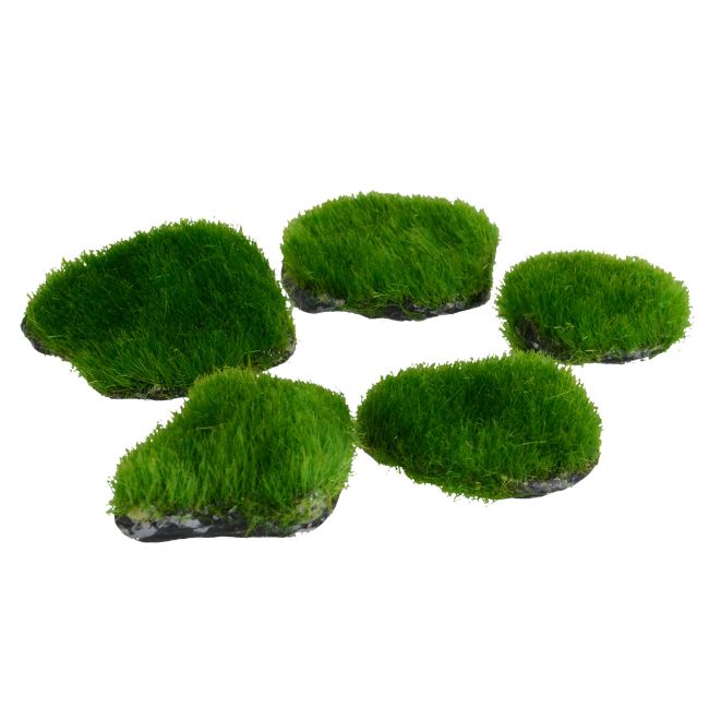 Underwater Treasures Mini Moss Rock 5pk